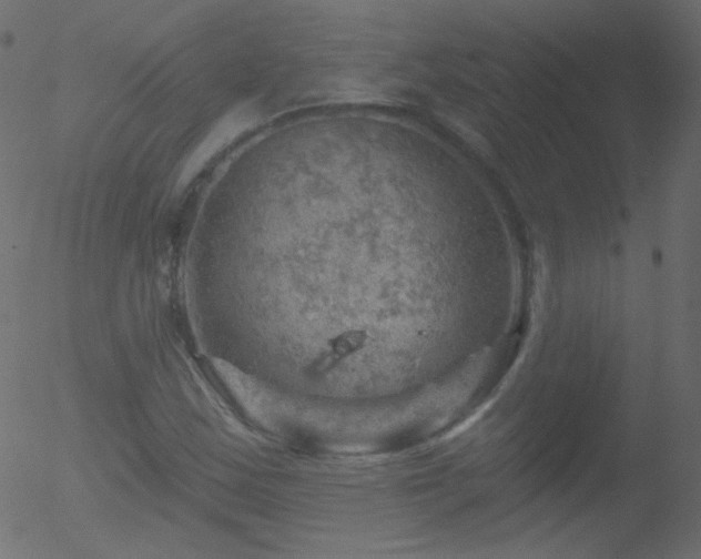 X0000052571163200507011213