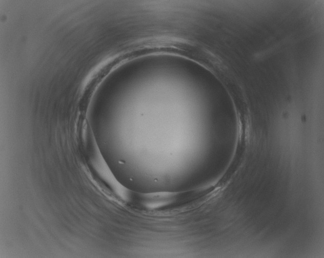 X0000052571164200507011213