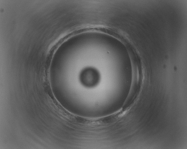 X0000052571165200507011213