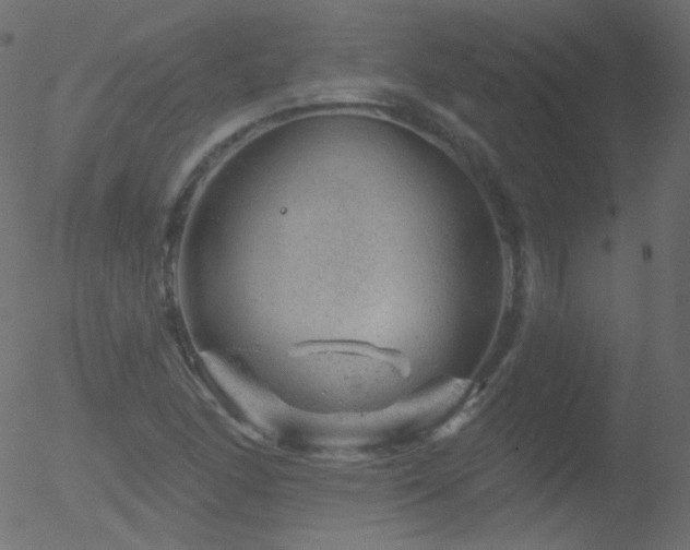 X0000052571166200507011213