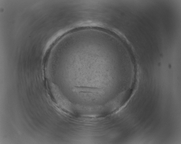 X0000052571167200507011213