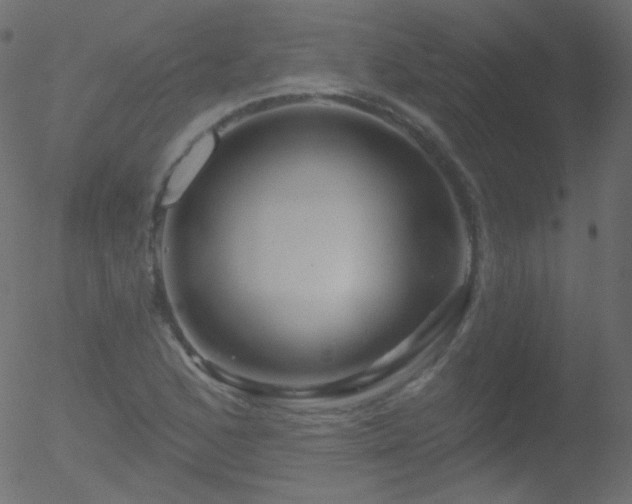 X0000052571168200507011213