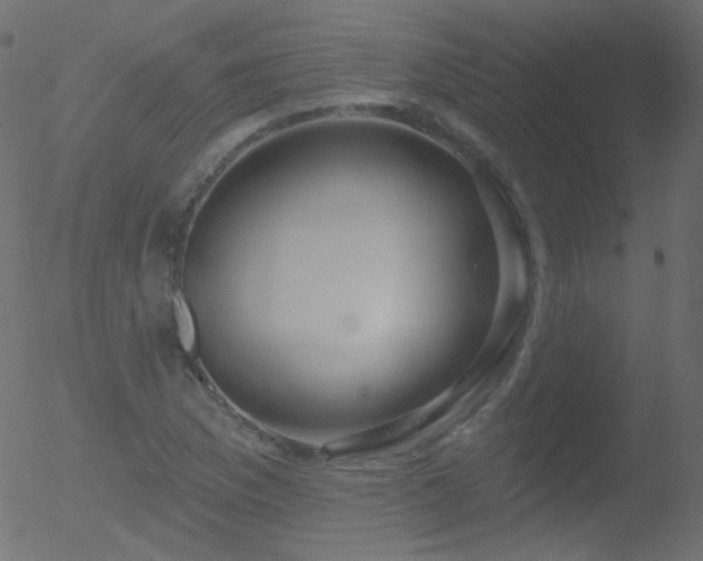 X0000052571169200507011213