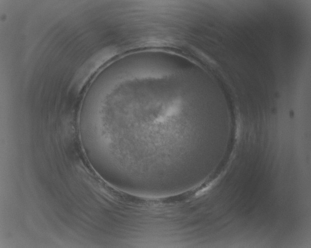 X0000052571170200507011213