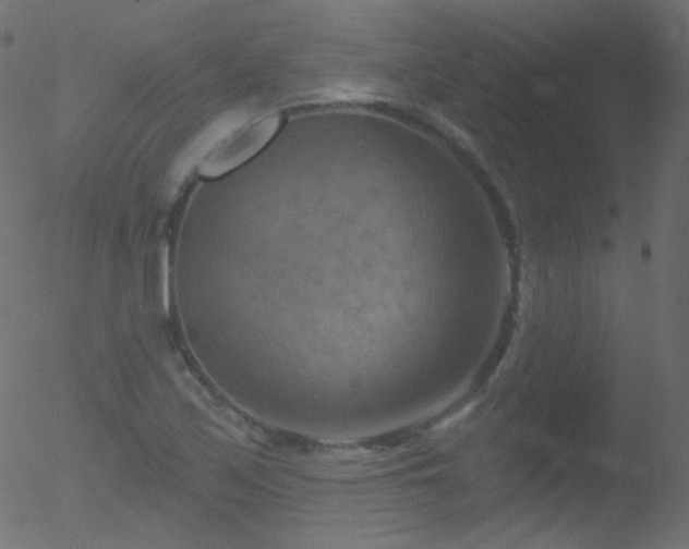 X0000052571171200507011213