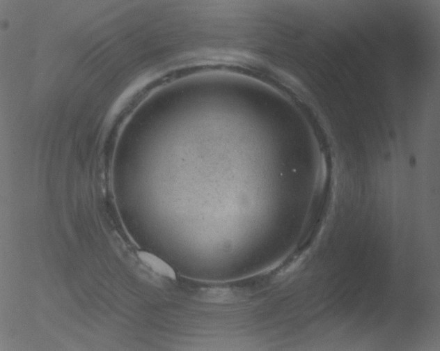 X0000052571172200507011213