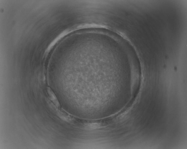 X0000052571173200507011213