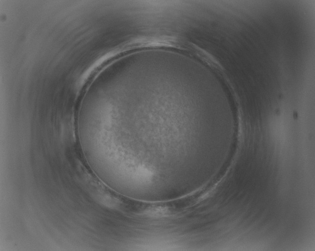 X0000052571174200507011213