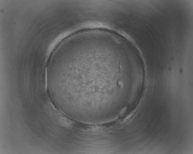 X0000052571175200507011213