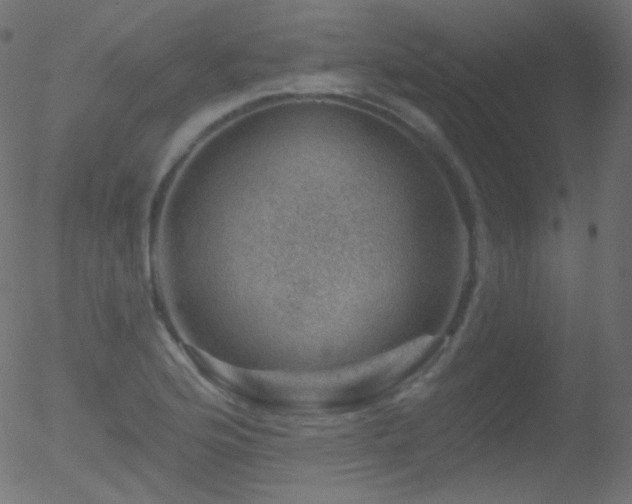 X0000052571176200507011213