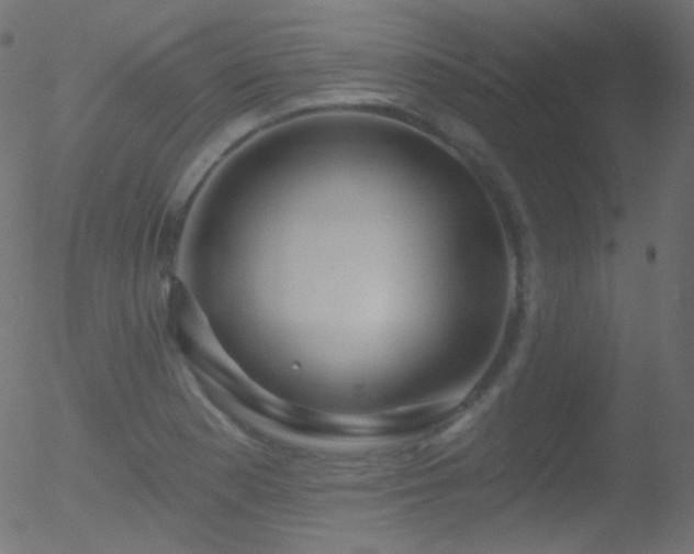 X0000052571177200507011213