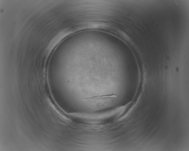 X0000052571178200507011213