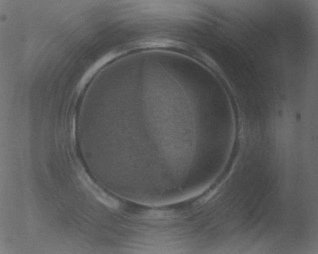 X0000052571179200507011213