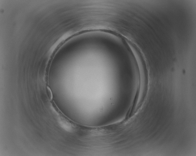 X0000052571181200507011213