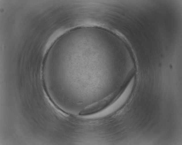 X0000052571183200507011213