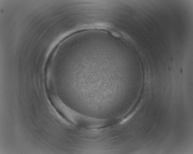 X0000052571184200507011213