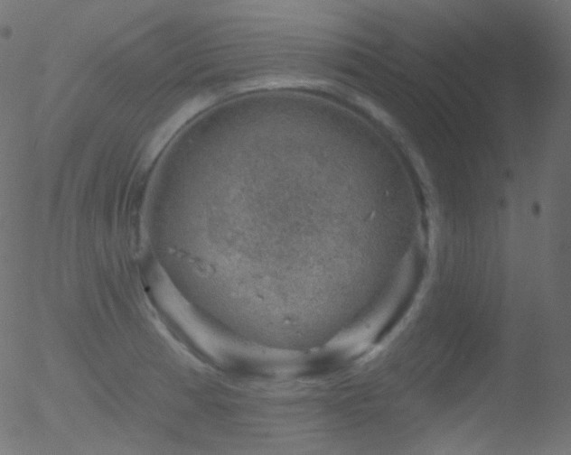 X0000052571185200507011213