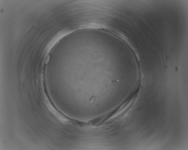 X0000052571187200507011213