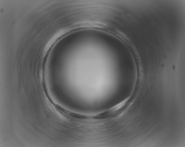 X0000052571188200507011213