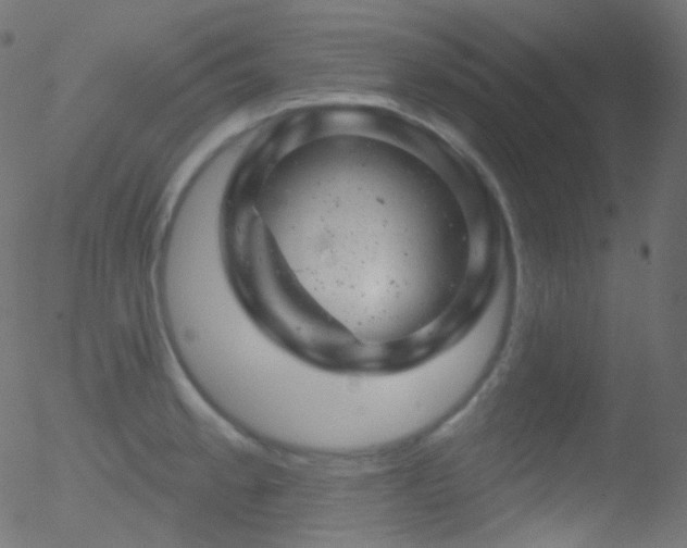 X0000052571189200507011213