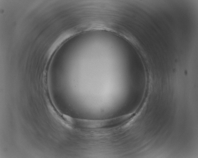 X0000052571190200507011213