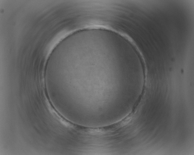 X0000052571191200507011213