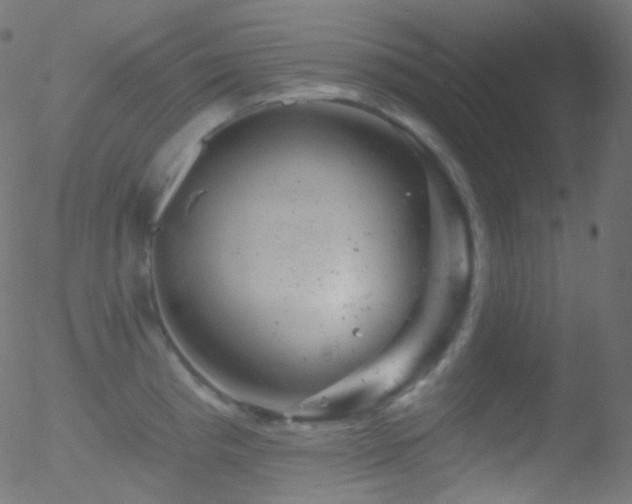 X0000052571193200507011213