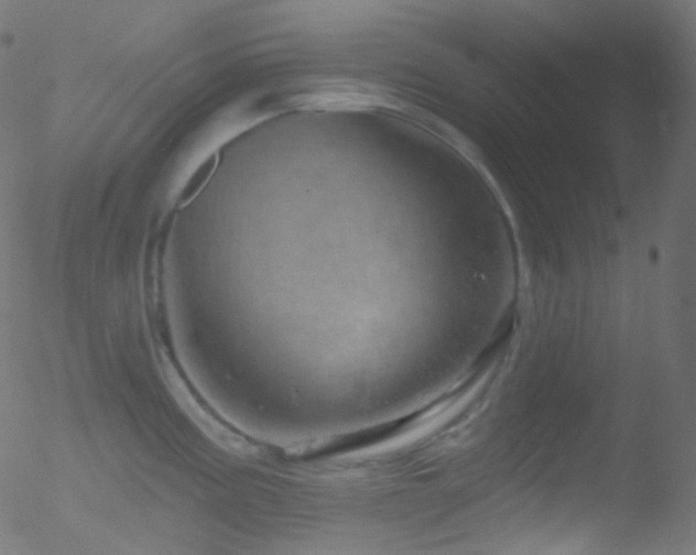 X0000052571195200507011213