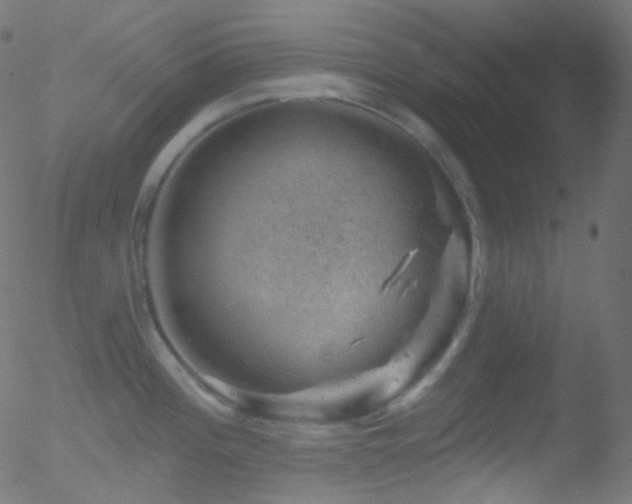 X0000052571196200507011213