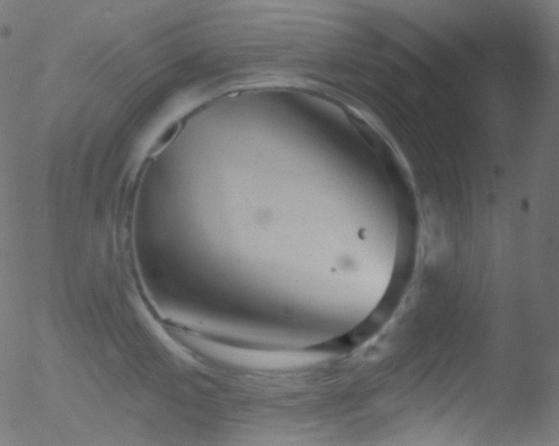 X0000052571197200507011213