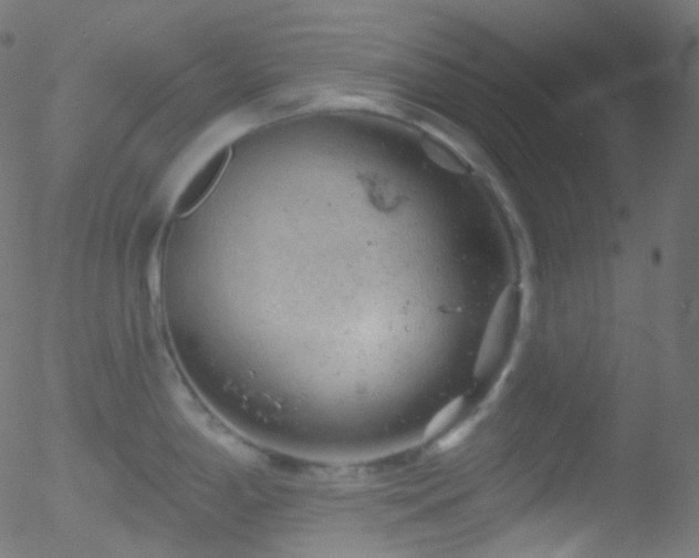 X0000052571198200507011213