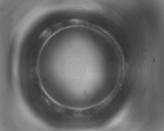 X0000052571199200507011213