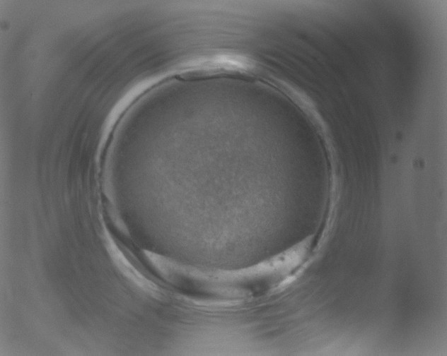 X0000052571200200507011213