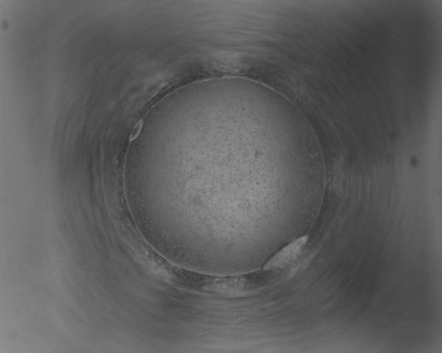 X0000052571201200507011212