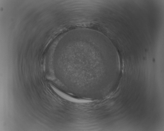 X0000052571202200507011212