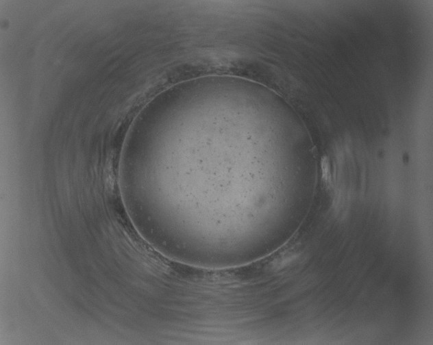 X0000052571203200507011212