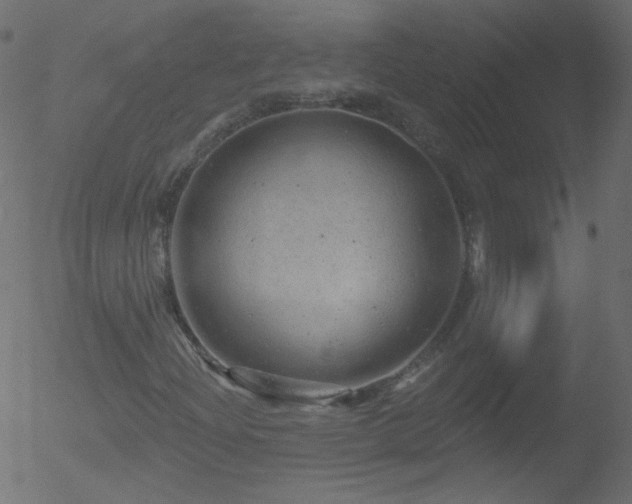 X0000052571204200507011212