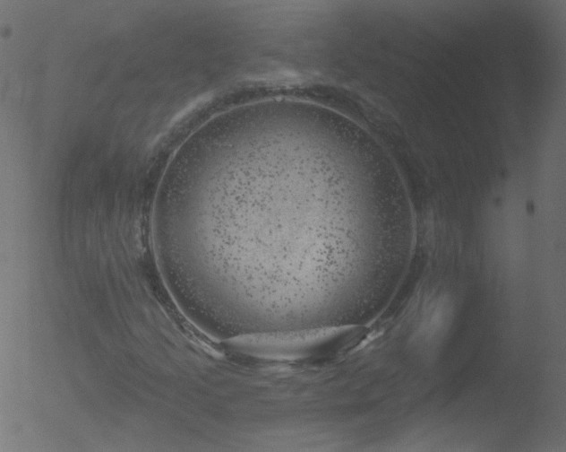 X0000052571205200507011212