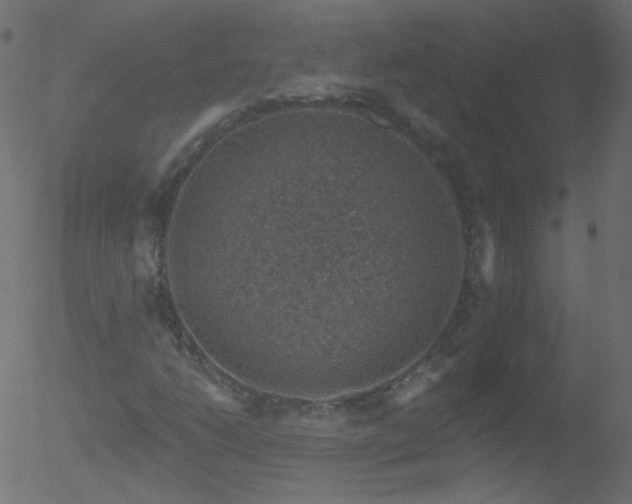 X0000052571206200507011212