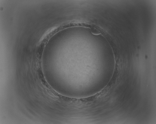 X0000052571207200507011212