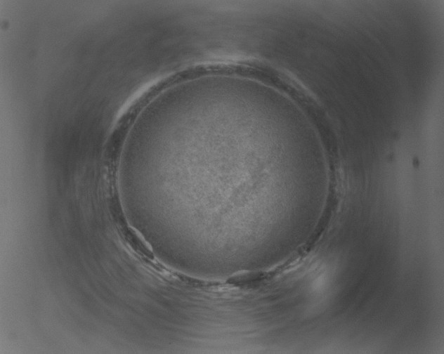 X0000052571208200507011212