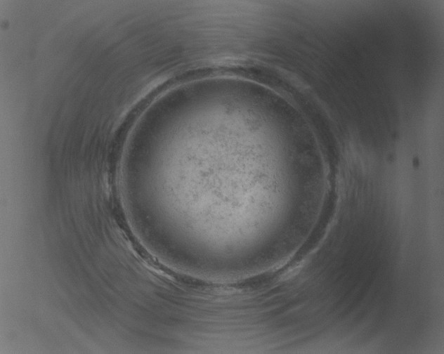 X0000052571209200507011212