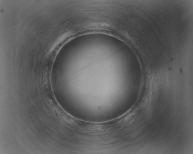 X0000052571211200507011212