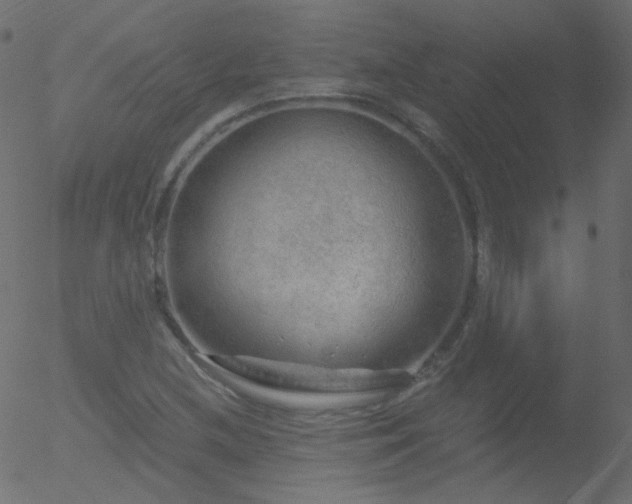 X0000052571212200507011212