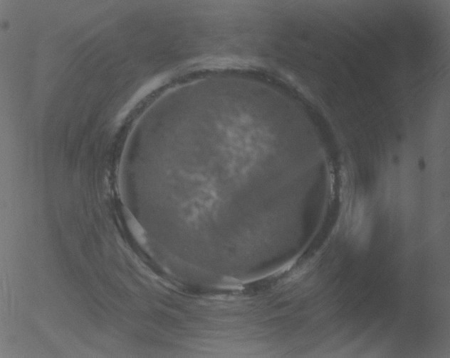 X0000052571213200507011212