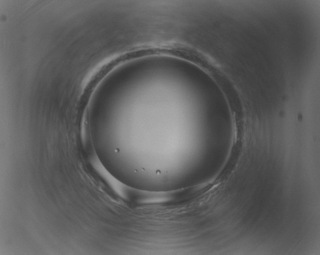 X0000052571214200507011212