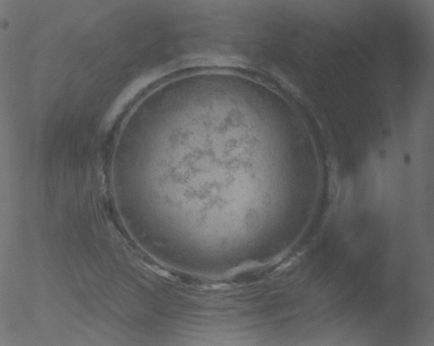 X0000052571215200507011212