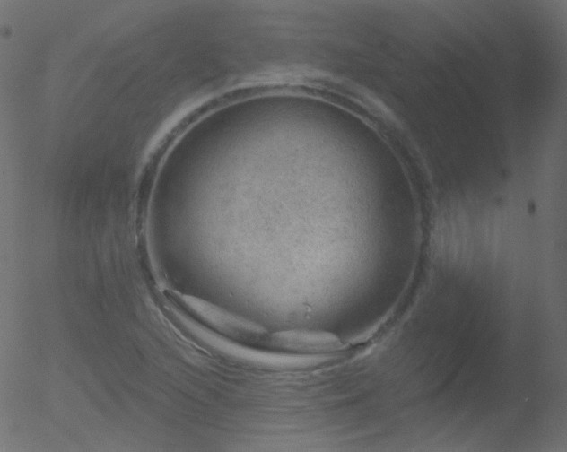 X0000052571216200507011212