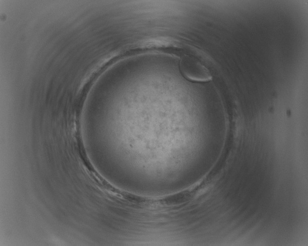 X0000052571217200507011212