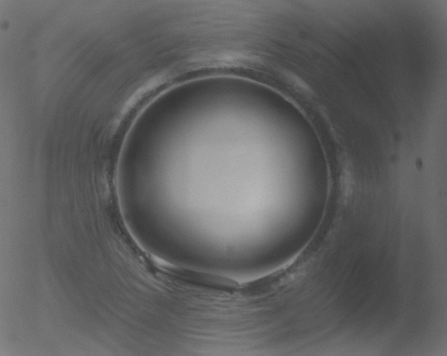 X0000052571218200507011212